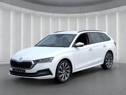 Weiss Gebraucht 2020 Skoda Octavia First Edition Kombi | 23.949 € (Superpreis)