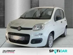 Colore esterno (weiss) Gebraucht 2020 Fiat Panda Kleinwagen | 7.990 € (Fairer Preis)