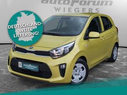 Grün Gebraucht 2020 Kia Picanto Edition 7 Kleinwagen | 9.481 € (Fairer Preis)