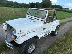 Weiß Gebraucht 1994 Jeep Wrangler SUV | 26.900 €