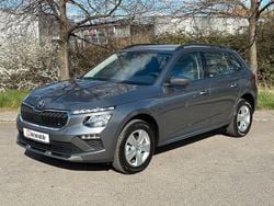 Grau Neu 2025 Skoda 105 Limousine | 23.979 €