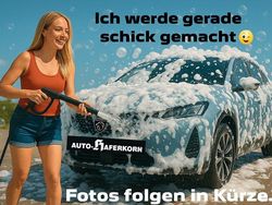Rot Gebraucht 2022 VW Polo Life Kleinwagen | 14.499 € (Guter Preis)