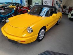Gelb Gebraucht 1989 Alfa Romeo Spider Cabrio | 32.250 €