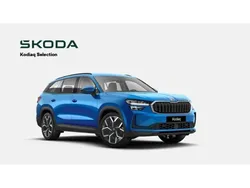 Blau Gebraucht 2024 Skoda Kodiaq Selection SUV | 44.970 € (Fairer Preis)