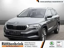 Grau Neu 2025 Skoda Karoq Selection SUV | 33.449 € (Fairer Preis)