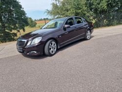 Braun Gebraucht 2009 Mercedes E250 Limousine | 10.500 € (Fairer Preis)