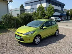 Grau Gebraucht 2009 Ford Fiesta Kleinwagen | 2.499 € (Guter Preis)