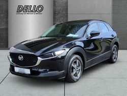 Andere Gebraucht 2022 Mazda CX-30 SUV | 16.990 € (Superpreis)