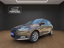 Maple braun metallic Gebraucht 2019 Skoda Fabia Soleil Kleinwagen | 13.970 € (Etwas zu teuer)