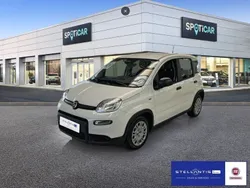 Weiß Neu 2025 Fiat Panda Kleinwagen | 13.888 €