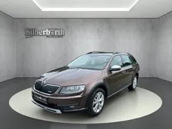Braun Gebraucht 2016 Skoda Octavia Scout 4x4 Kombi | 18.990 € (Etwas zu teuer)