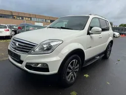 Weiß Gebraucht 2014 Ssangyong Rexton Sapphire SUV | 8.950 €