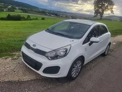 Weiß Gebraucht 2011 Kia Rio Edition 7 Kleinwagen | 5.999 € (Teuer)