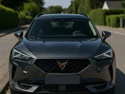 Grau Gebraucht 2022 Cupra Formentor SUV | 28.500 € (Fairer Preis)