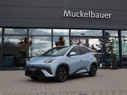 Ice blue Neu 2025 BYD Dolphin Surf Comfort Kleinwagen | 25.990 € (Fairer Preis)