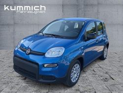 Blau Gebraucht 2024 Fiat Panda Kleinwagen | 15.980 € (Teuer)
