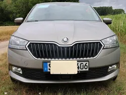 Braun Gebraucht 2019 Skoda Fabia Active Kombi | 10.400 € (Guter Preis)