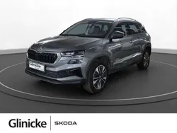 Grau Gebraucht 2025 Skoda Karoq Selection SUV | 37.985 € (Teuer)