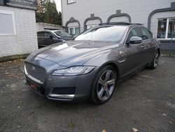 Grau Gebraucht 2018 Jaguar XF Portfolio Limousine | 16.950 €