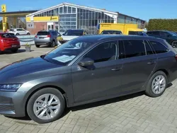 Grau Gebraucht 2024 Skoda Octavia Selection Kombi | 31.990 € (Guter Preis)