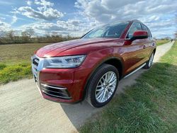 Rot Gebraucht 2019 Audi Q5 Design SUV | 34.500 € (Teuer)