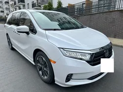 Weiß Gebraucht 2023 Honda Odyssey Elite Van / Kleinbus | 53.900 €