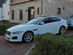 Weiß Gebraucht 2016 Jaguar XE R Limousine | 14.700 € (Etwas zu teuer)
