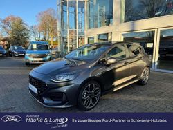 Magneticgrau (metallic) Gebraucht 2024 Ford Fiesta ST-Line X Kleinwagen | 20.480 € (Fairer Preis)