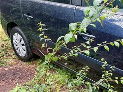 Blau Gebraucht 2005 Renault Espace Van / Kleinbus | 600 € (Superpreis)