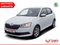 Weiß Gebraucht 2019 Skoda Fabia Cool Plus Kleinwagen | 12.950 € (Teuer)