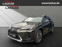Norigrün Neu 2024 Lexus UX 250h Executive Line SUV | 36.990 € (Teuer)