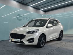 Weiß Gebraucht 2023 Ford Kuga ST-Line SUV | 28.800 € (Etwas zu teuer)