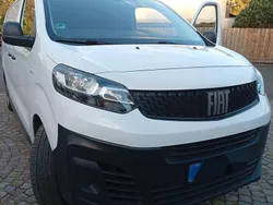 Weiß Gebraucht 2024 Fiat Scudo Van / Kleinbus | 13.000 €