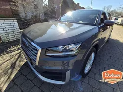Grau Gebraucht 2016 Audi Q2 Design SUV | 11.900 € (Etwas zu teuer)
