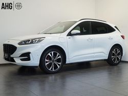 Weiß Gebraucht 2021 Ford Kuga ST-Line X SUV | 22.990 € (Guter Preis)