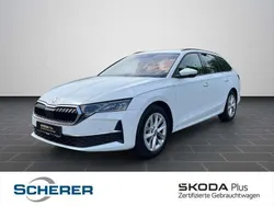 Moonweiß perleffekt Gebraucht 2024 Skoda Octavia Selection Kombi | 28.400 € (Superpreis)