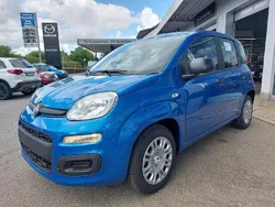 Blau Neu 2025 Fiat Panda Kleinwagen | 15.800 € (Fairer Preis)