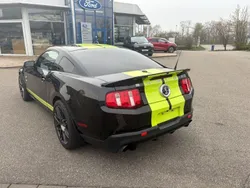 Ford Shelby