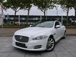 Weiß Gebraucht 2014 Jaguar XJL Limousine | 18.950 €