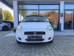 Weiß Gebraucht 2009 Fiat Punto Kleinwagen | 1.490 € (Fairer Preis)