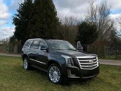 Andere außenfarben Gebraucht 2017 Cadillac Escalade SUV | 45.000 € (Superpreis)