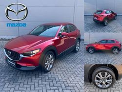 Rot Gebraucht 2020 Mazda CX-30 Selection SUV | 19.490 € (Fairer Preis)