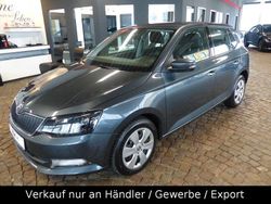 Grau Gebraucht 2018 Skoda Fabia Ambition Kleinwagen | 8.250 € (Guter Preis)