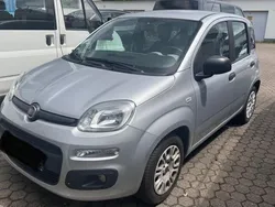 Grau Gebraucht 2016 Fiat Panda Easy Kleinwagen | 6.900 € (Fairer Preis)