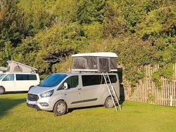 Silber Gebraucht 2019 Ford Transit Custom Van / Kleinbus | 29.000 € (Teuer)