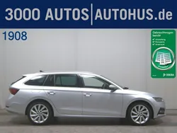 Grau Gebraucht 2023 Skoda Octavia Style Kombi | 21.780 € (Guter Preis)