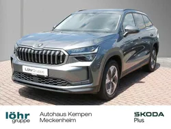 Grau Gebraucht 2024 Skoda Kodiaq Selection SUV | 43.730 € (Superpreis)