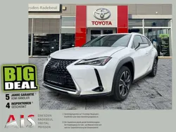 Titaniumweiß Gebraucht 2021 Lexus UX 250h SUV | 22.990 € (Guter Preis)