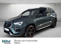 Grün Gebraucht 2023 Cupra Ateca SUV | 31.980 € (Guter Preis)