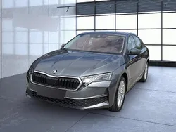 Graphite grau (grau) Gebraucht 2025 Skoda Octavia Selection | 28.290 € (Superpreis)